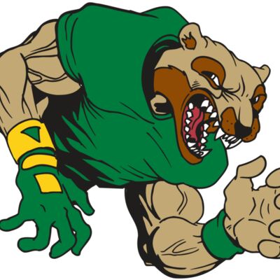 AR5 Wolverine 17 RQC Thumbnail