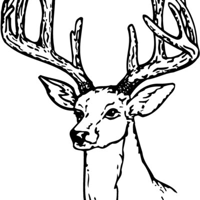 DEER009 Thumbnail